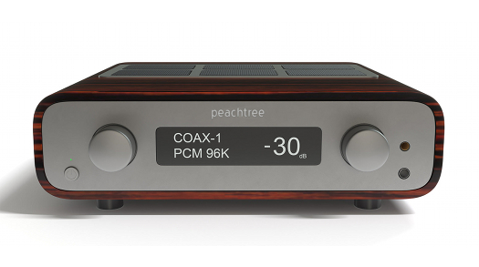 Carina 300 Amplifier with DAC